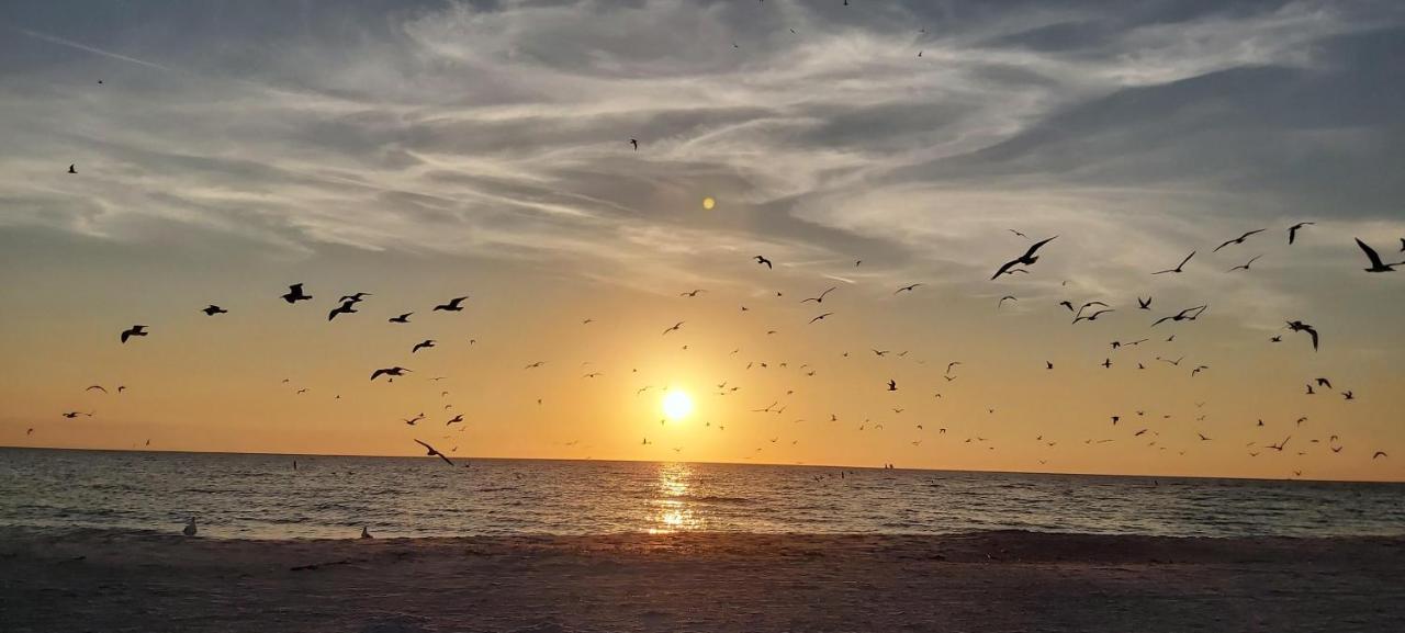 Villa Madeira 406 St. Pete Beach Dış mekan fotoğraf